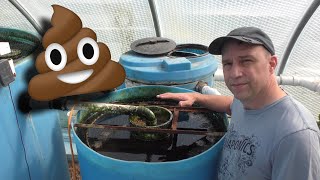 Aquaponics Solids (poop) Removal Tour and Maintenance