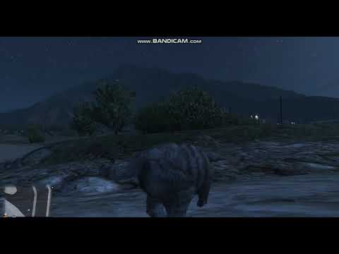 GTA5動物大變身-貓咪