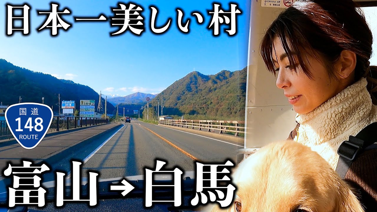 【長野】ローカルタレントが白馬に続く国道148号で紅葉に行ったら絶景だった