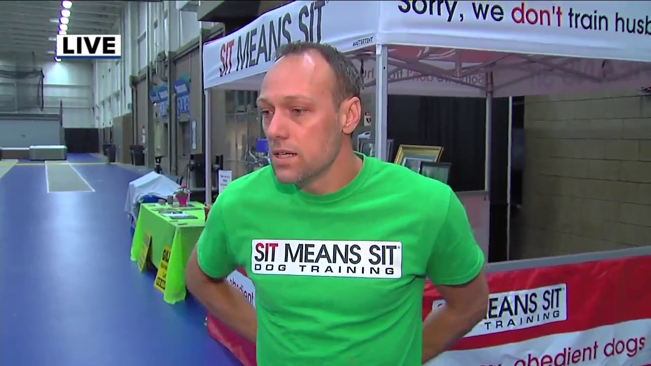 Home Improvement Show in Warren - YouTube