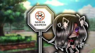 No animals allowed🐈⚠️,,Glm/Trend✨ No animals allowed🐈⚠️,,Glm/Trend✨