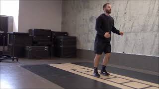 Single Leg Drop Squat