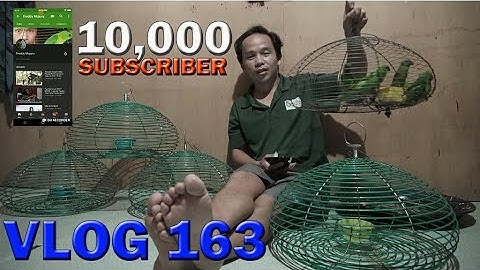 SANGKAR BURUNG SERINDIT // PemenangNYA _ Vlog 163