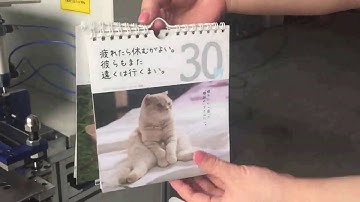 Double wire binding machine