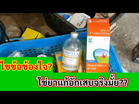 ไขข้อข้องใจ?? เพนได & อะม็อคซี่ ใช่ยาแก้อักเสบจริงหรือไม่ l KruThan พาทำ