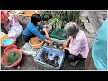 Hawkers Selling Tortoises &amp; Toads in Tanzhou Zhongshan China 賣草龜 蛤蟆 坦洲市場外面 中山坦洲