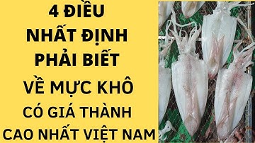 🦑 4 ĐIỀU NHẤT ĐỊNH PHẢI BIẾT VỀ MỰC KHÔ CÓ GIÁ THÀNH CAO NHẤT VIỆT NAM 🦑