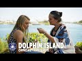 DOLPHIN ISLAND (2021) - Official Trailer #2