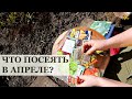 ЧТО ПОСЕЯТЬ В АПРЕЛЕ? / Мои планы на посевы