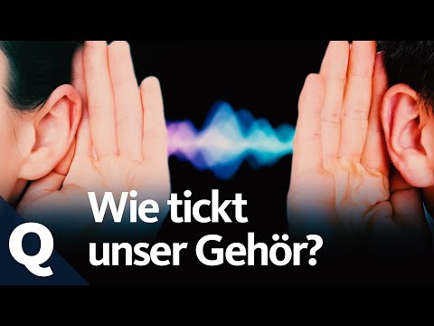 Video: Menschen - Hamers Hören, Was Andere Nicht Hören - Alternative Ansicht