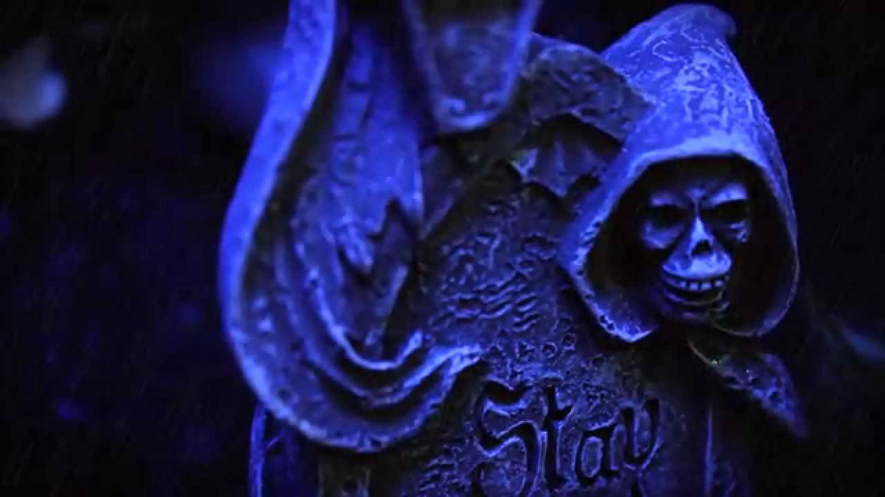 Zoo Med Halloween 2014