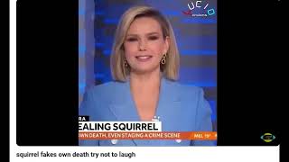 "Flying Squirrel Fakes Death in the Kitchen: Try Not to Laugh!"