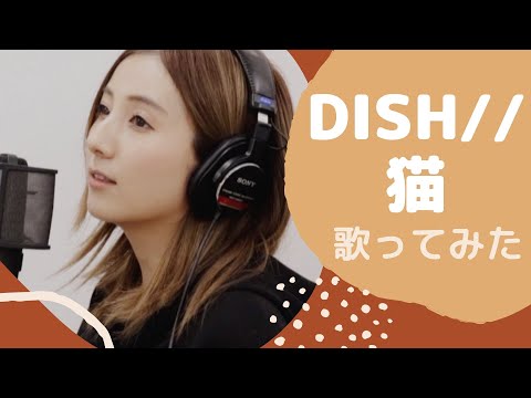 【DISH//】“猫”を女性キーで歌ってみた！〜Covered  by Mizuki Kawakami〜【歌詞入り】