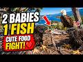 Sandy & Luna Fought Over One Fish…🐟😍 Cutest Nest Moment Ever🦅SHADOW Fish DINNER… Turns Into Battle❤️