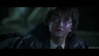 Harry Potter Vs The Basilisk