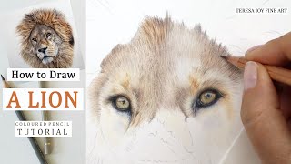 How to Draw a Lion with Coloured Pencils | Watercolour Paper