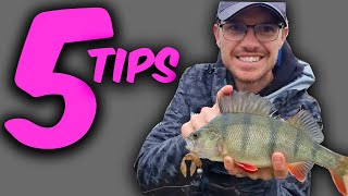 5 Tips To Catch MORE Perch!