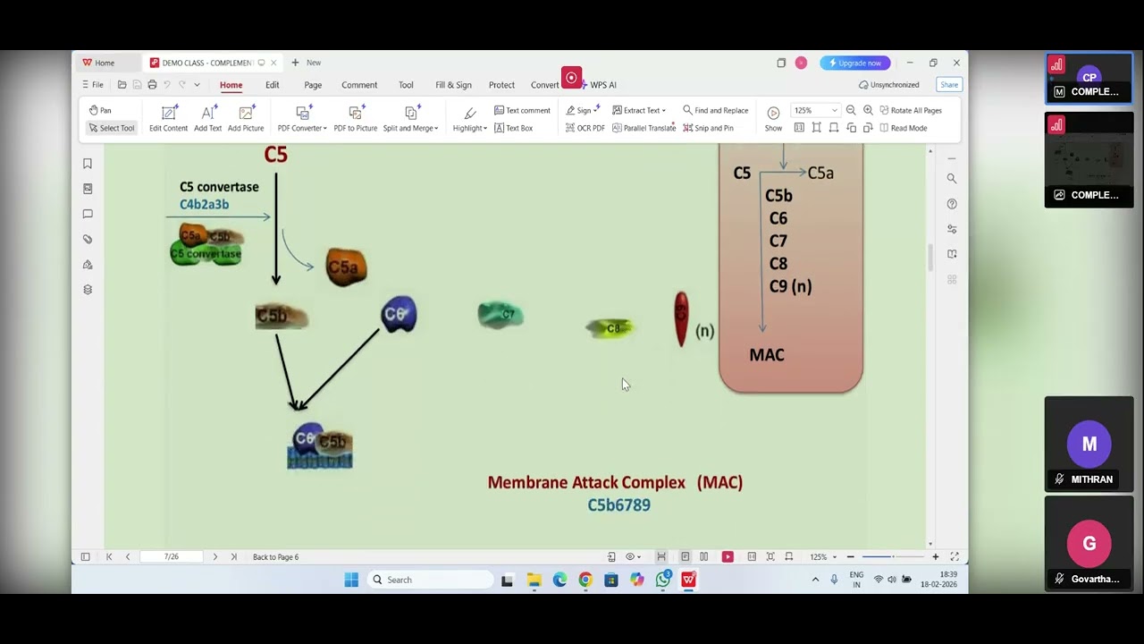 COMPLEMENT PATHWAY