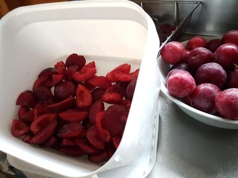 How to preserve plums - by freezing