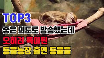 늑대소녀보아 - YouTube 늑대소녀보아 - Youtube