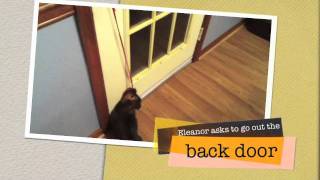 Eleanor Roosevelt Has To Potty