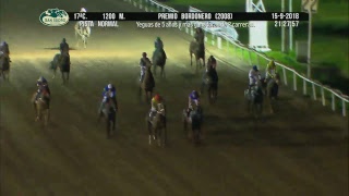 Hipódromo San Isidro Live Stream