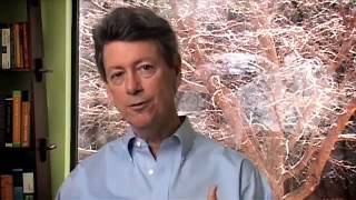 Rick Hanson - The Enlightened Brain