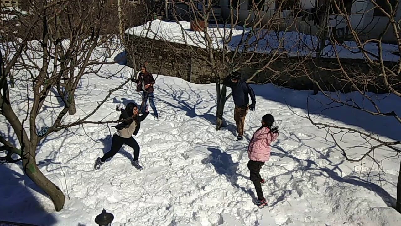 Cloud 9 Cottage Manali Youtube