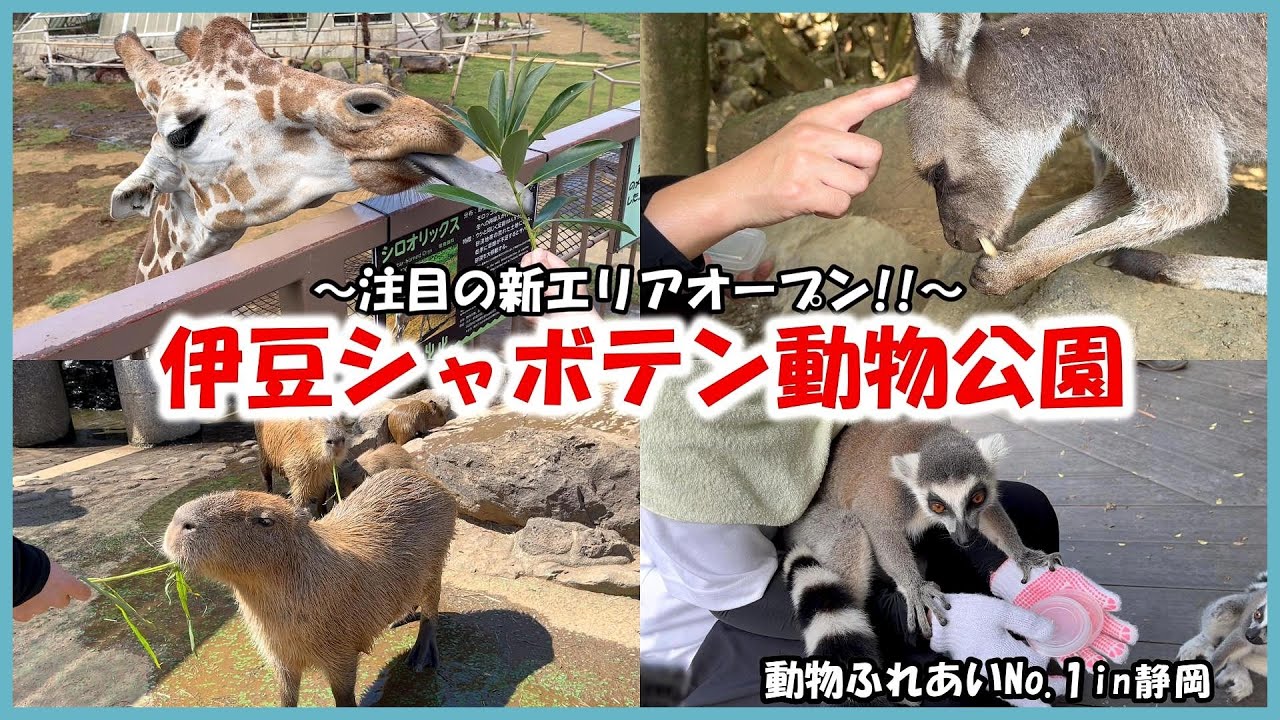 【伊豆シャボテン動物公園】動物ふれあいNo 1in静岡～注目の新エリアオープン！！～