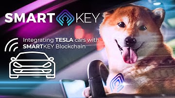 Shiba Inu driving a Tesla powered by SmartKey - SmartKey x Tesla