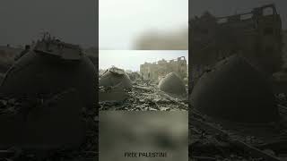 Fight Against Israel