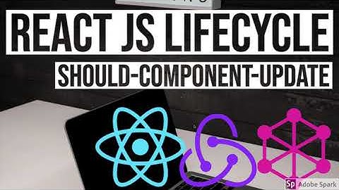 React JS LifeCycle  shouldComponentupdate #27