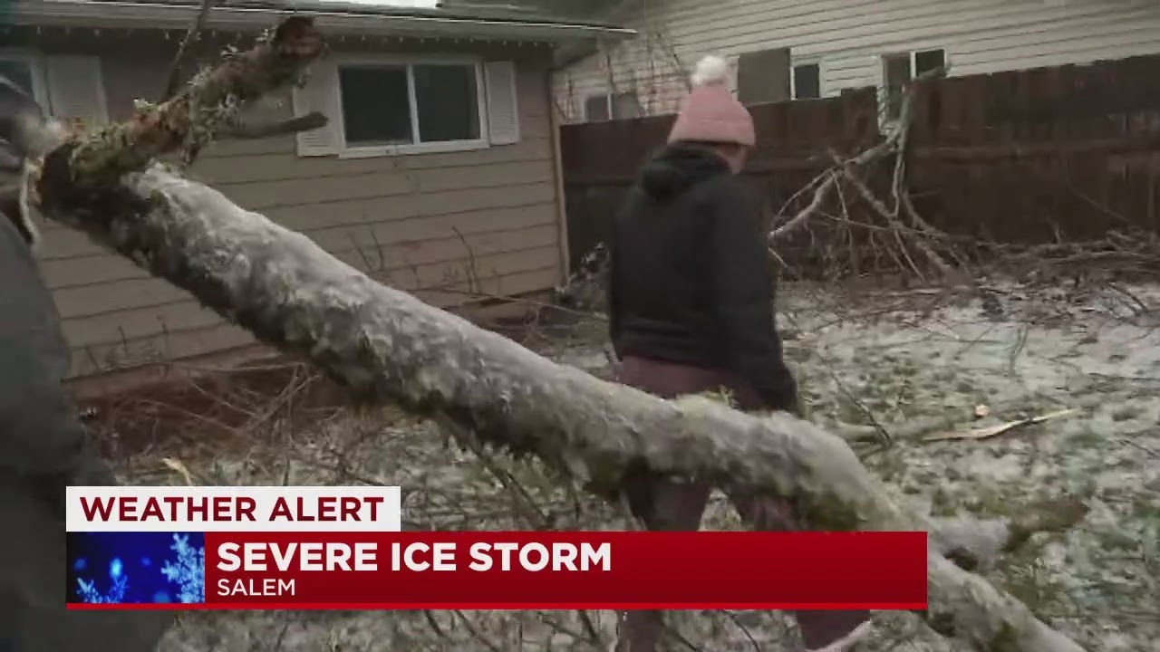 Trees crack, limbs fall as winter storm slams Salem YouTube