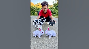 Ekta Cow Ke Sath 2 Ta Afstandsbediening Konijn uitpakken