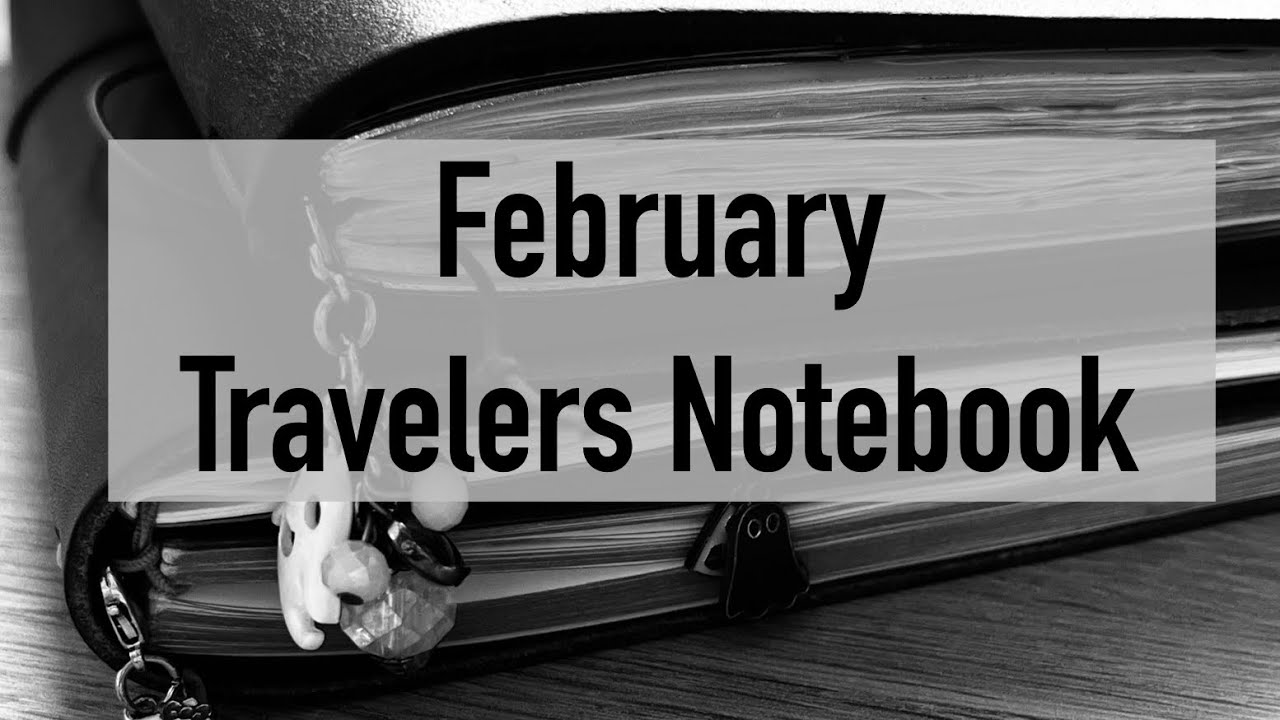 Заметки путешественника за февраль 2026 года 👻