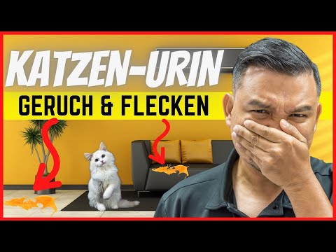 Video: Deutsche Hunderassen