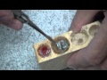 Extraction - Isolated Mandibular Molar - Table Top Demo - Dr. Partridge