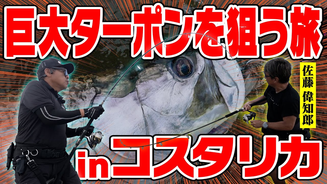 【衝撃】佐藤偉知郎と未知なる巨大ターポンを狙え！！inコスタリカ2024