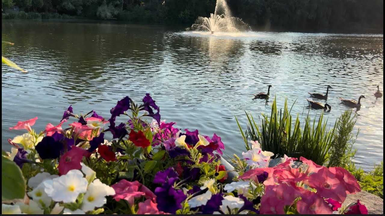 [4K] Exploring Canada - Mill Pond Park