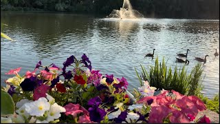 [4K] Exploring Canada - Mill Pond Park