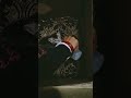 #punjabisong #sorts #viral #nechural #vido #Billi Billi