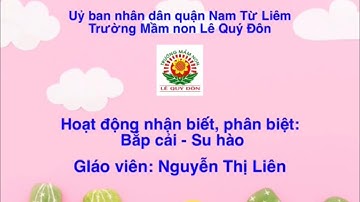 Nhận biết, phân biệt “ Bắp cải - Su hào”- Trường mầm non Lê Quý Đôn