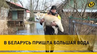 ПАВОДОК в Беларуси: ПЕРВАЯ ВОЛНА. Набережная Бреста ушла под воду и не только