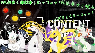 【Content Warning】4匹でバズる動画撮りまくるっコャァ！【妖狐竜カミ視点】