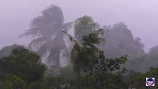 Rain Storm Coamo, P.R. / Tormenta de Lluvia 11/5/2022
