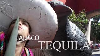 ORGULLO MEXICANO FUNDADOR LIC. DELFINO CORNEJO TORRES #orgullomexicano #mexico #viral