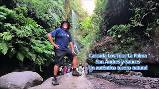 Cascada Los Tilos La Palma San Andrés y Sauces