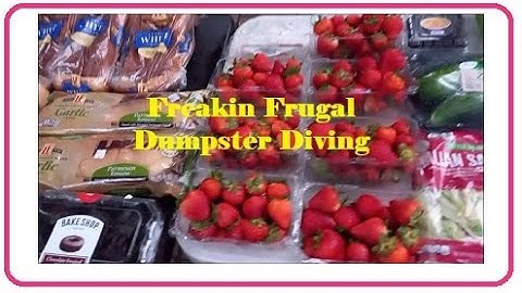 With Trash LIke That, Why Go Anywhere Else? Dumspter DIving at ALDI!  #survival