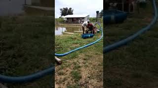 limpando tanque de peixes   draga 3 polegadas