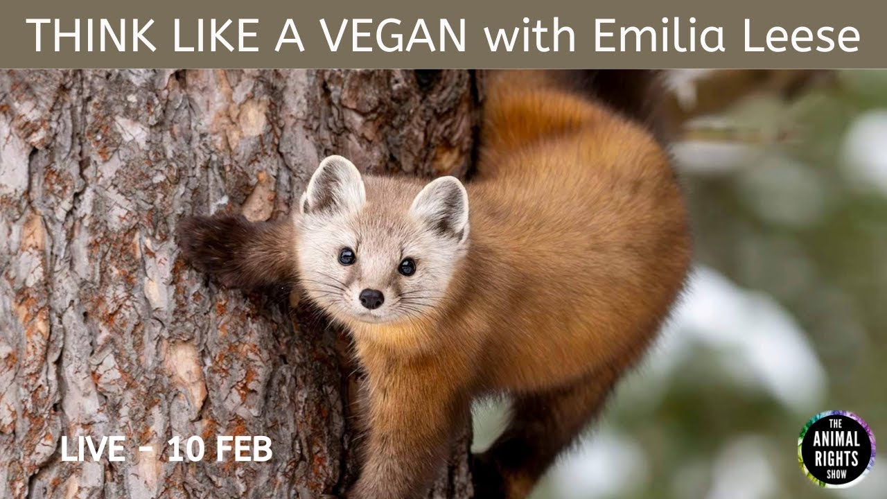 Animal Rights Show | Think Like A Vegan